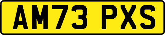 AM73PXS