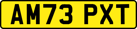 AM73PXT
