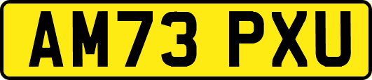 AM73PXU