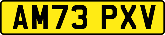AM73PXV