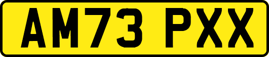 AM73PXX