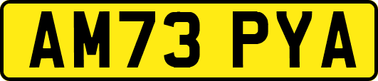 AM73PYA