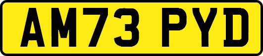 AM73PYD