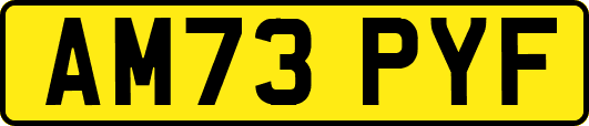 AM73PYF