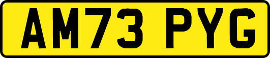 AM73PYG
