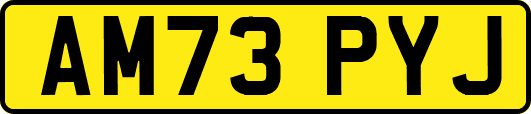 AM73PYJ