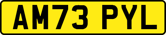 AM73PYL