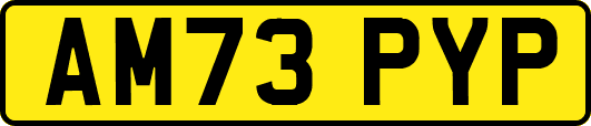 AM73PYP