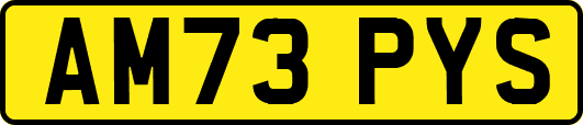 AM73PYS