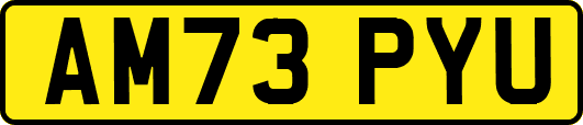 AM73PYU
