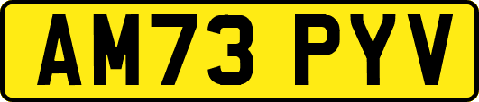 AM73PYV