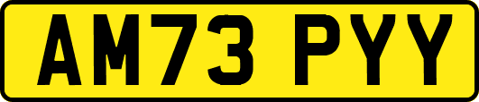 AM73PYY