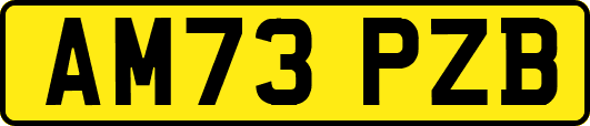 AM73PZB