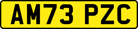 AM73PZC