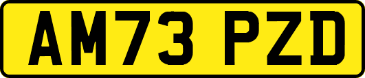 AM73PZD