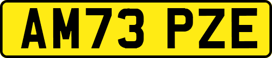 AM73PZE