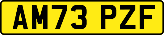 AM73PZF