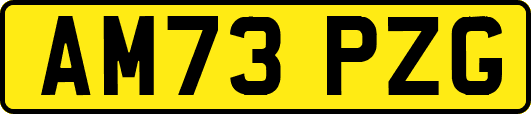 AM73PZG
