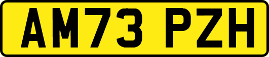 AM73PZH