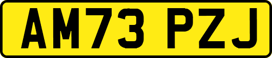 AM73PZJ