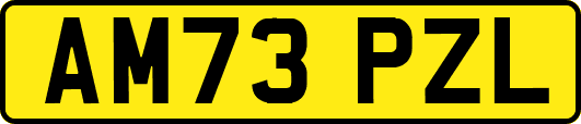 AM73PZL