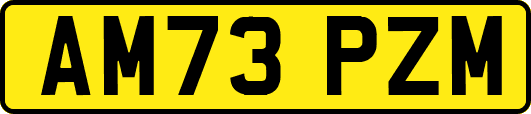 AM73PZM