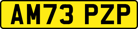 AM73PZP