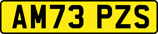AM73PZS