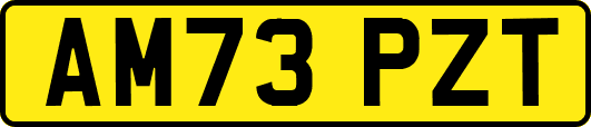AM73PZT