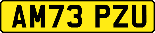 AM73PZU