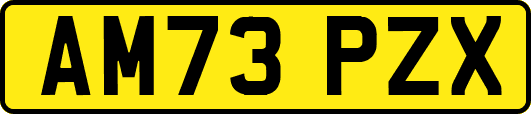 AM73PZX
