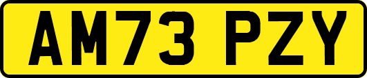 AM73PZY