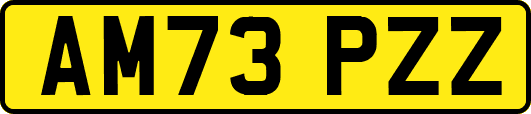 AM73PZZ