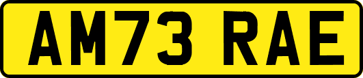 AM73RAE