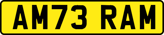 AM73RAM