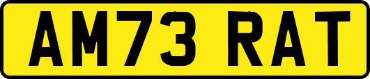 AM73RAT