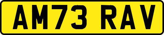 AM73RAV