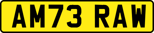 AM73RAW