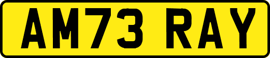 AM73RAY