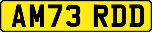 AM73RDD