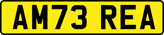 AM73REA