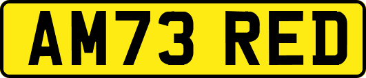 AM73RED