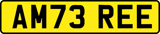 AM73REE