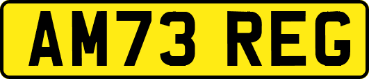 AM73REG