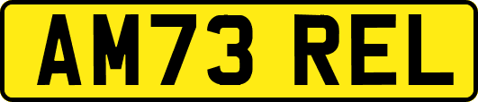 AM73REL