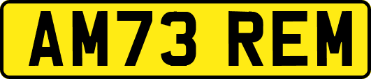 AM73REM