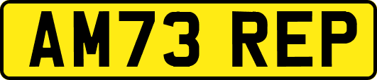 AM73REP