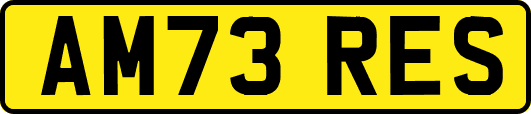AM73RES