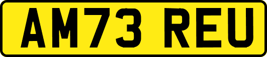 AM73REU