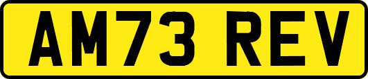AM73REV